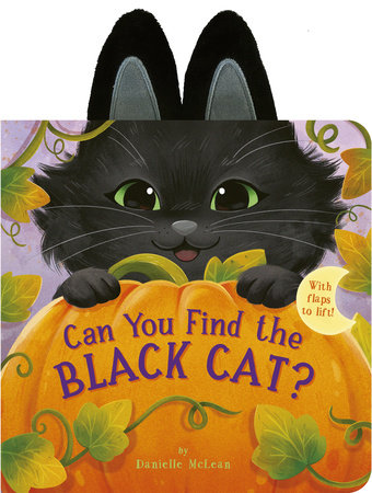 Can You Find the Black Cat? by Danielle McLean