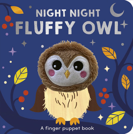 Night Night Fluffy Owl by Selina Wood