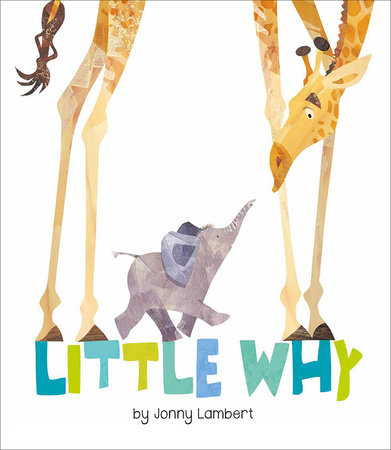 Little Why by Jonny Lambert