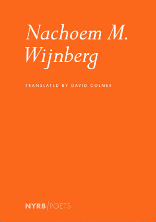 Nachoem M. Wijnberg by Nachoem M. Wijnberg