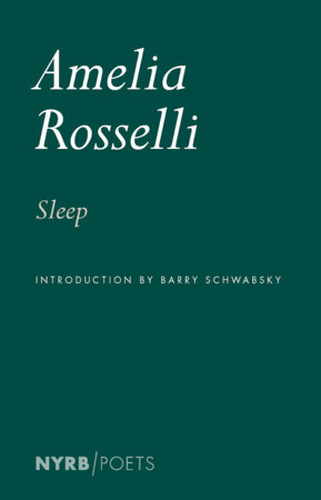 Sleep by Amelia Rosselli