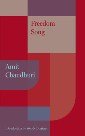 Freedom Song by Amit Chaudhuri