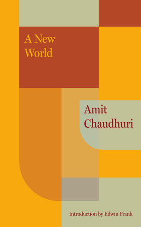 A New World by Amit Chaudhuri