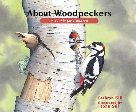 About Woodpeckers by Cathryn Sill