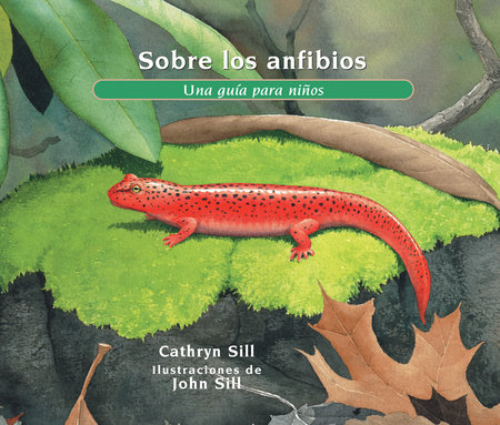 Sobre los anfibios by Cathryn Sill