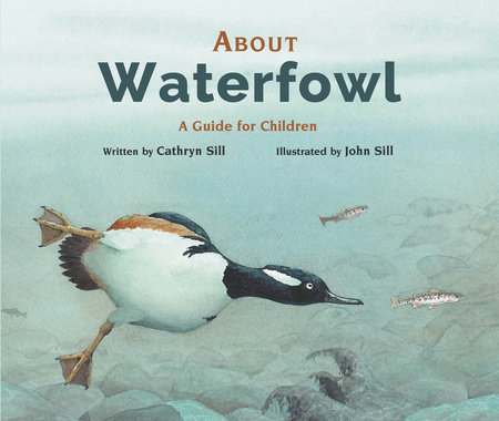 About Waterfowl by Cathryn Sill
