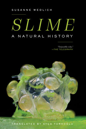 Slime by Susanne Wedlich