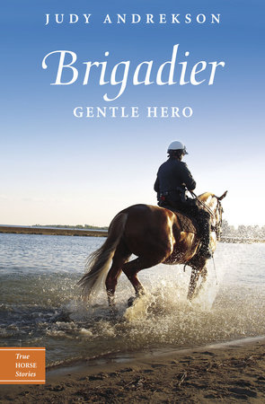 Brigadier by Judy Andrekson