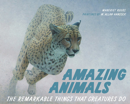 Amazing Animals by Margriet Ruurs