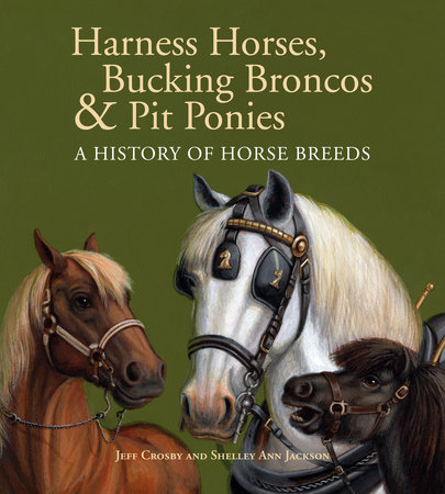 Harness Horses, Bucking Broncos & Pit Ponies by Jeff Crosby and Shelley Ann Jackson