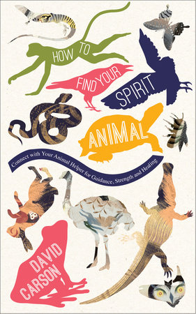 How to Find Your Spirit Animal by David Carson