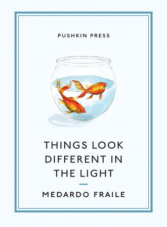 Things Look Different in the Light & Other Stories by Medardo Fraile and Ali Smith