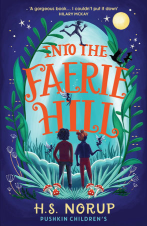 Into the Faerie Hill by H.S. Norup