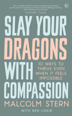 Slay Your Dragons With Compassion by Malcolm Stern and Ben Craib