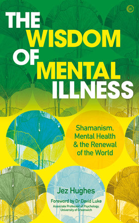 The Wisdom of Mental Illness by Jez Hughes
