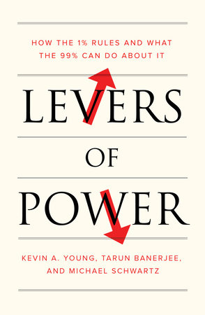 Levers of Power by Kevin A. Young, Tarun Banerjee and Michael Schwartz
