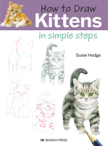 How to Draw Rainforest Animals in Simple Steps by Susie Hodge:  9781782218876 : Books