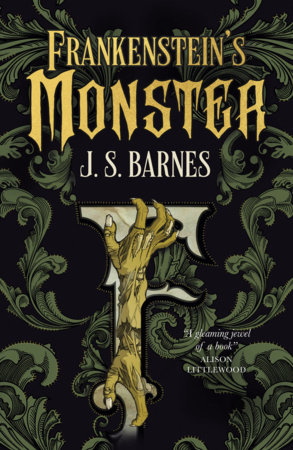 Frankenstein's Monster by J.S. Barnes