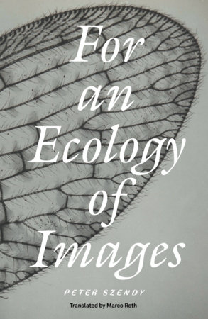 For an Ecology of Images by Peter Szendy
