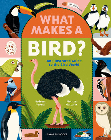 What Makes a Bird?: An Illustrated Guide to the Bird World by Nadeem Perera