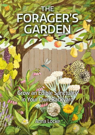 The Forager's Garden by Anna Locke