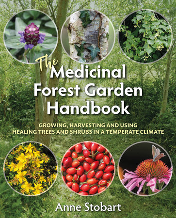 The Medicinal Forest Garden Handbook by Anne Stobart