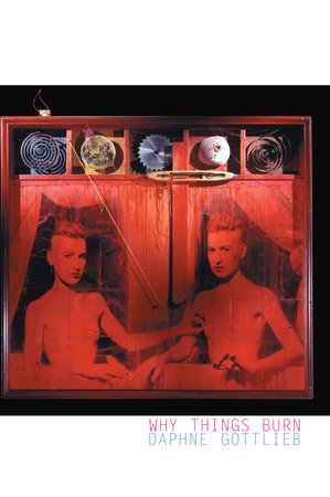 Why Things Burn by Daphne Gottlieb