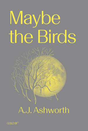 Maybe the Birds by A. J. Ashworth