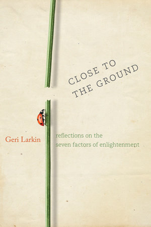 Close to the Ground by Geri Larkin