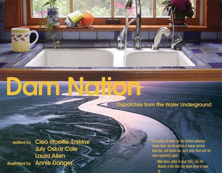 Dam Nation by 