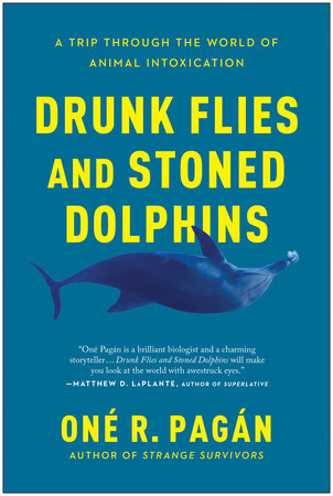 Drunk Flies and Stoned Dolphins by One R. Pagan