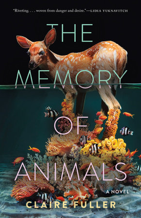 The Memory of Animals by Claire Fuller