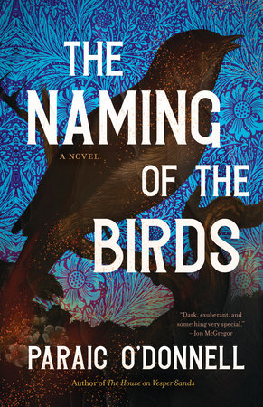 The Naming of the Birds by Paraic O'Donnell