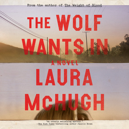 The Wolf Wants In by Laura McHugh