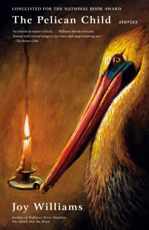 The Pelican Child by Joy Williams