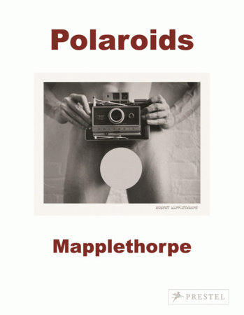 Robert Mapplethorpe by Sylvia Wolf