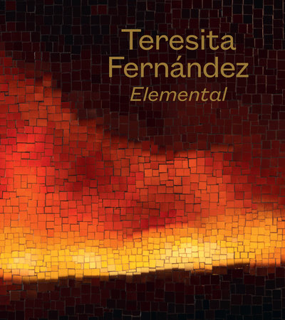 Teresita Fernández by Amada Cruz and Franklin Sirmans