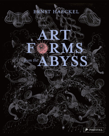 Art Forms from the Abyss by Peter J Le B Williams, Dylan W. Evans, David J Roberts and David Thomas