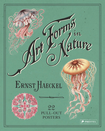Art Forms in Nature by Ernst Haeckel