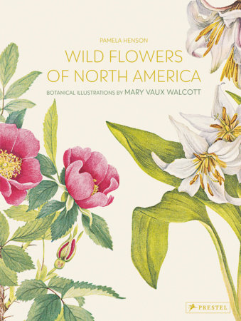 Wild Flowers of North America by 