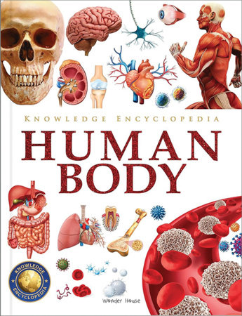 Knowledge Encyclopedia Human Body by Wonder House Books
