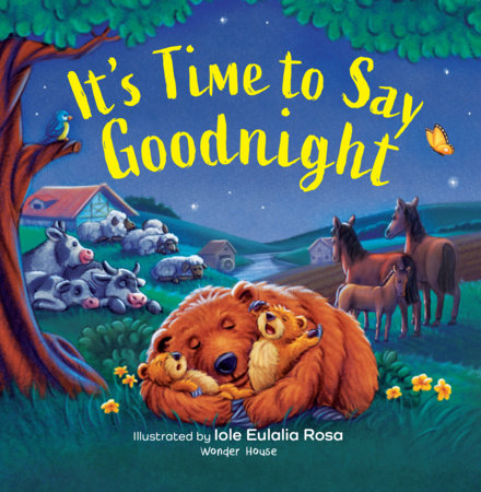 It’s Time to Say Goodnight by Wonder House Books