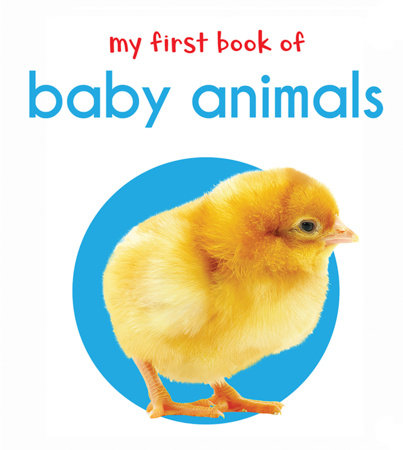 My First Book of Baby Animals: First Board Book by Wonder House Books, Wilhelm Grimm, J. M. Barrie, Frances Hodgson Burnett and Frank L. Baum