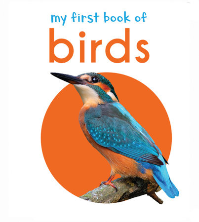 My First Book of Birds: First Board Book by Wonder House Books