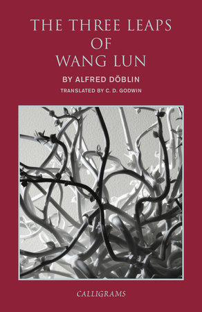 The Three Leaps of Wang Lun by Alfred Doblin