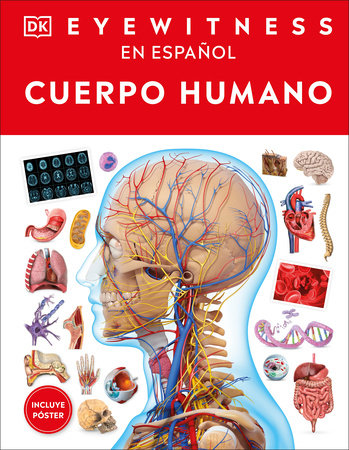 Eyewitness: Cuerpo humano (Human Body) by DK