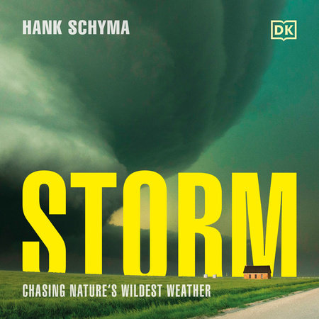 Storm by Hank Schyma