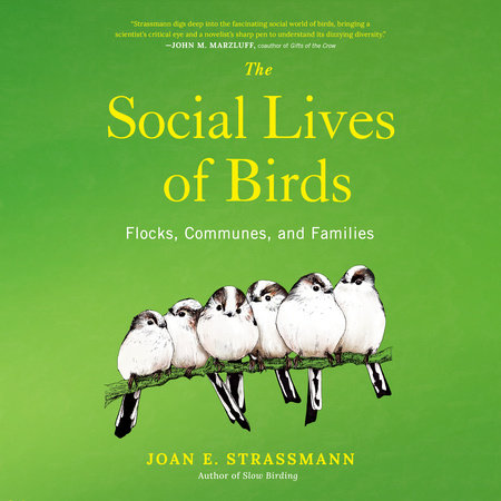 The Social Lives of Birds by Joan E. Strassmann