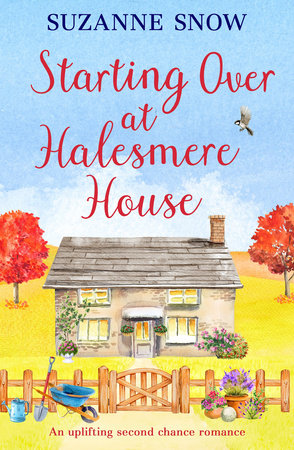 Starting Over at Halesmere House by Suzanne Snow