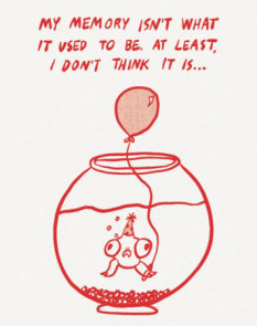 Humor Us Greeting Cards: Birthday - My Memory Isn't What It Used to Be (Pack of 6)